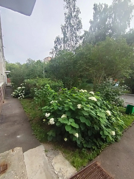 Квартира 42 м²