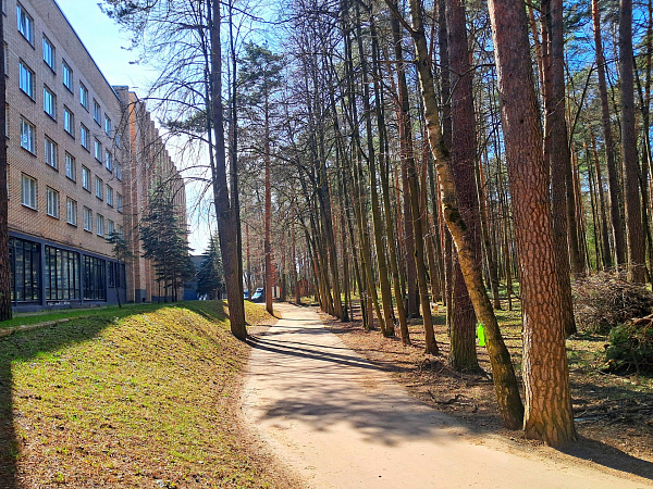 Квартира студия, 13 м²