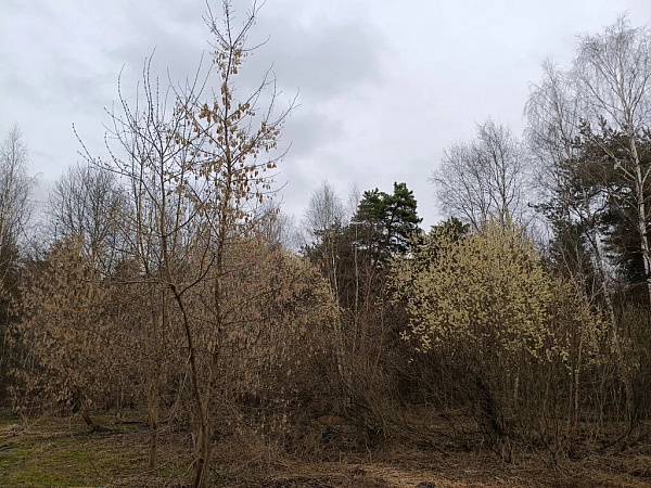 Квартира -комн., 32.4 м²