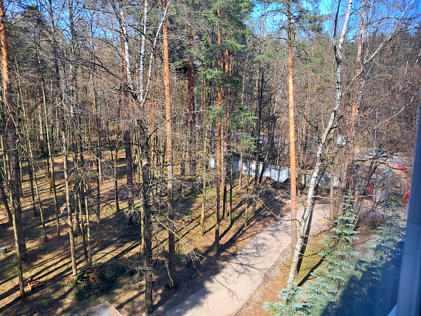 Квартира студия, 13 м²